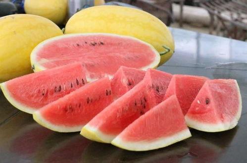 宅猪和肘子朋友圈吃瓜,揭秘娱乐圈最新瓜料
