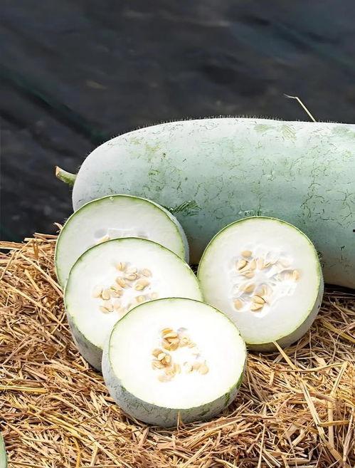 冬天也有瓜吃,冬季瓜类美食之旅