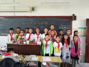 惊鸿照应吃瓜群众,揭秘吃瓜群众的狂欢盛宴