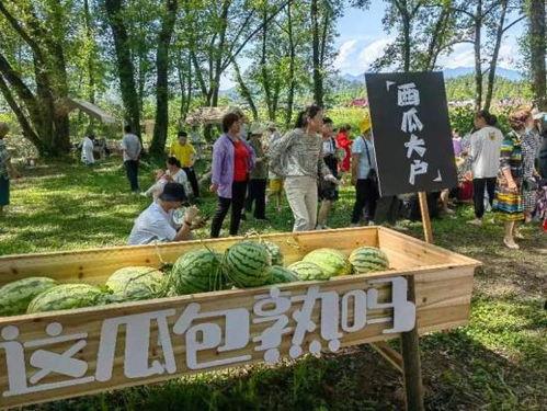 仙源吃瓜,揭秘神秘仙源村的吃瓜大事件