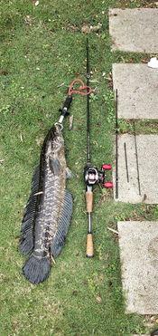 钓鱼搞笑吃瓜视频,钓鱼视频笑料连连